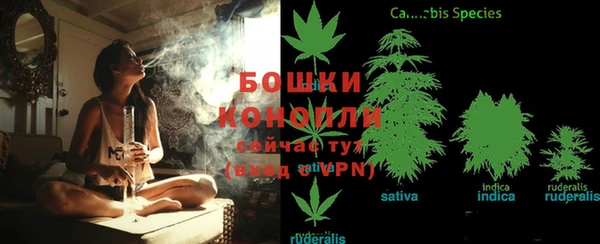 сатива Остров