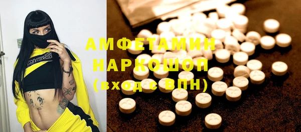гашик Ладушкин