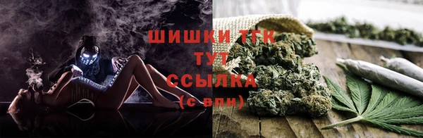 гашик Ладушкин